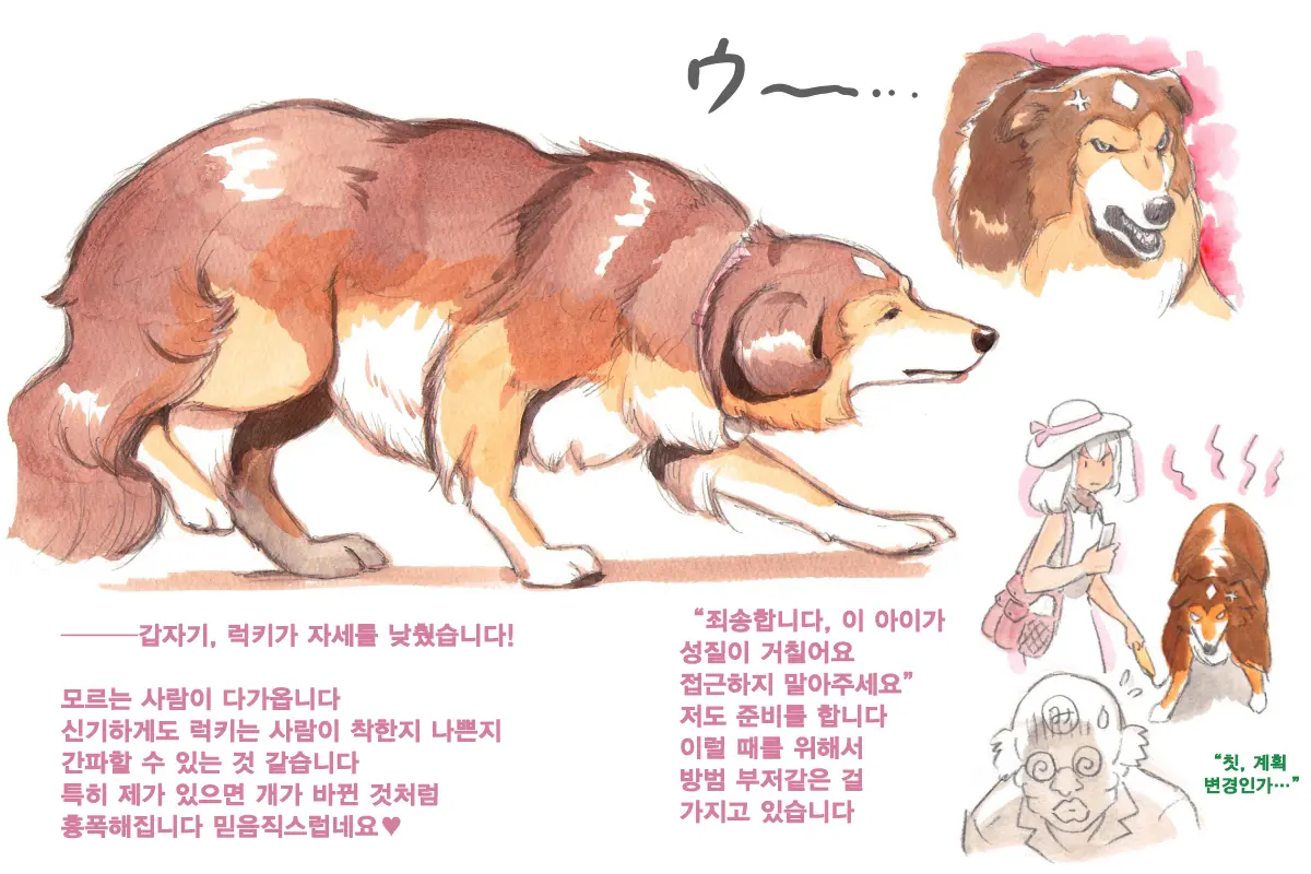 Himitsu No Inukko Club Sweet | 비밀의 강아지 클럽 Sweet
